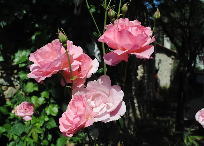 Eski Evleri Hotel 3*